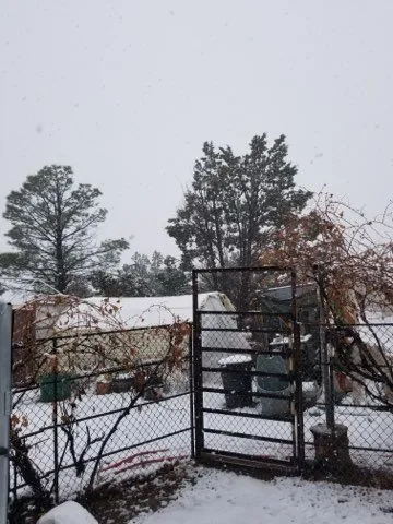 MEadd5254a3aa02f3a10c1992a16e18fdb — 9847 Cupples Trl, Snowflake, AZ 85937