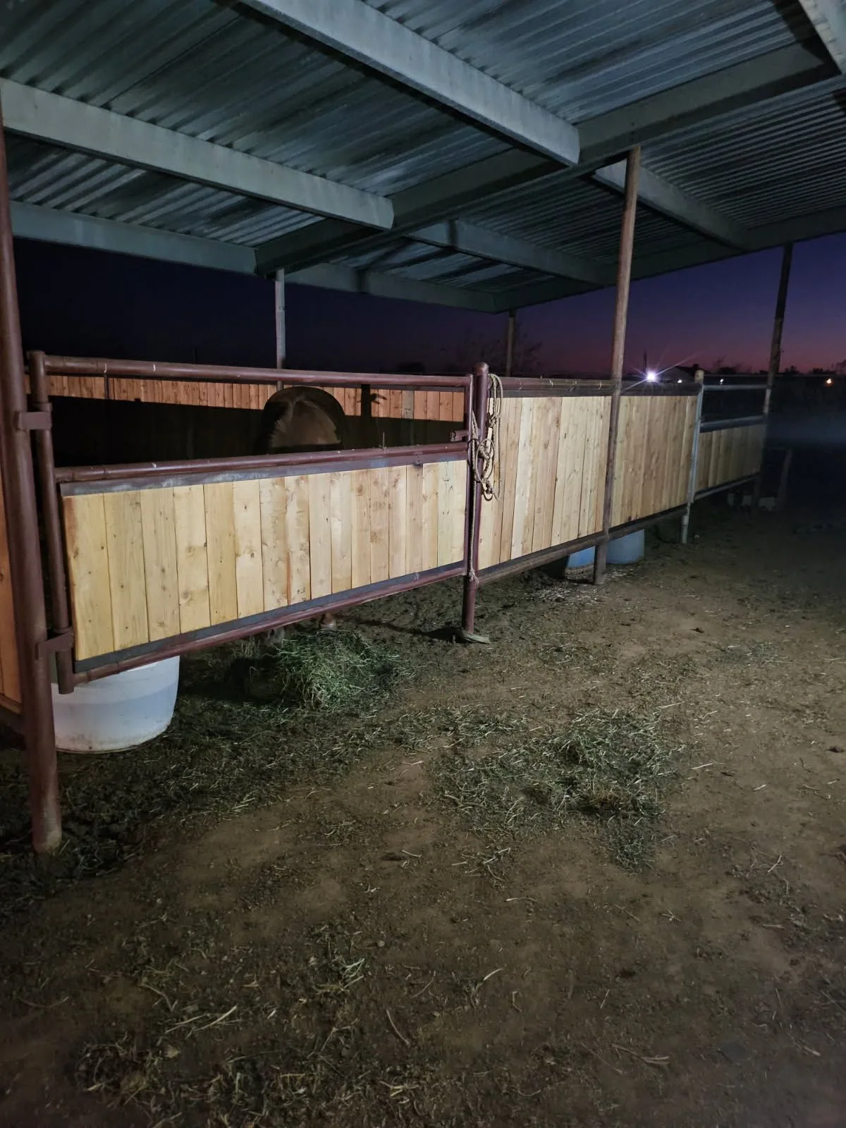 6 — 31426 N 216th Ave, Wittmann, AZ 85361