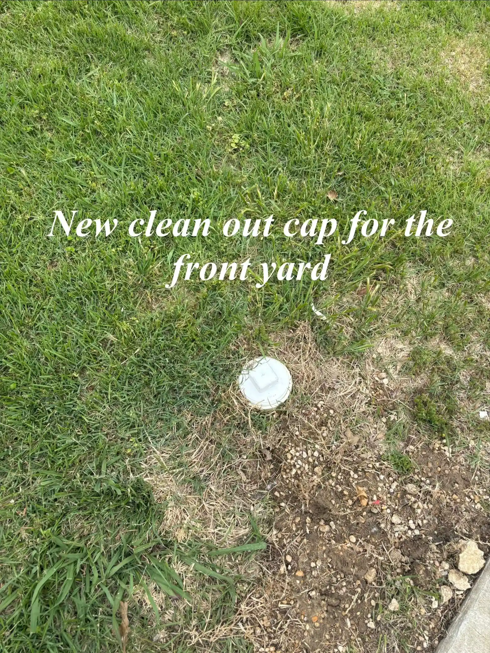 IMG_1255 — 5293 Beaverton Dr, Memphis, TN 38127