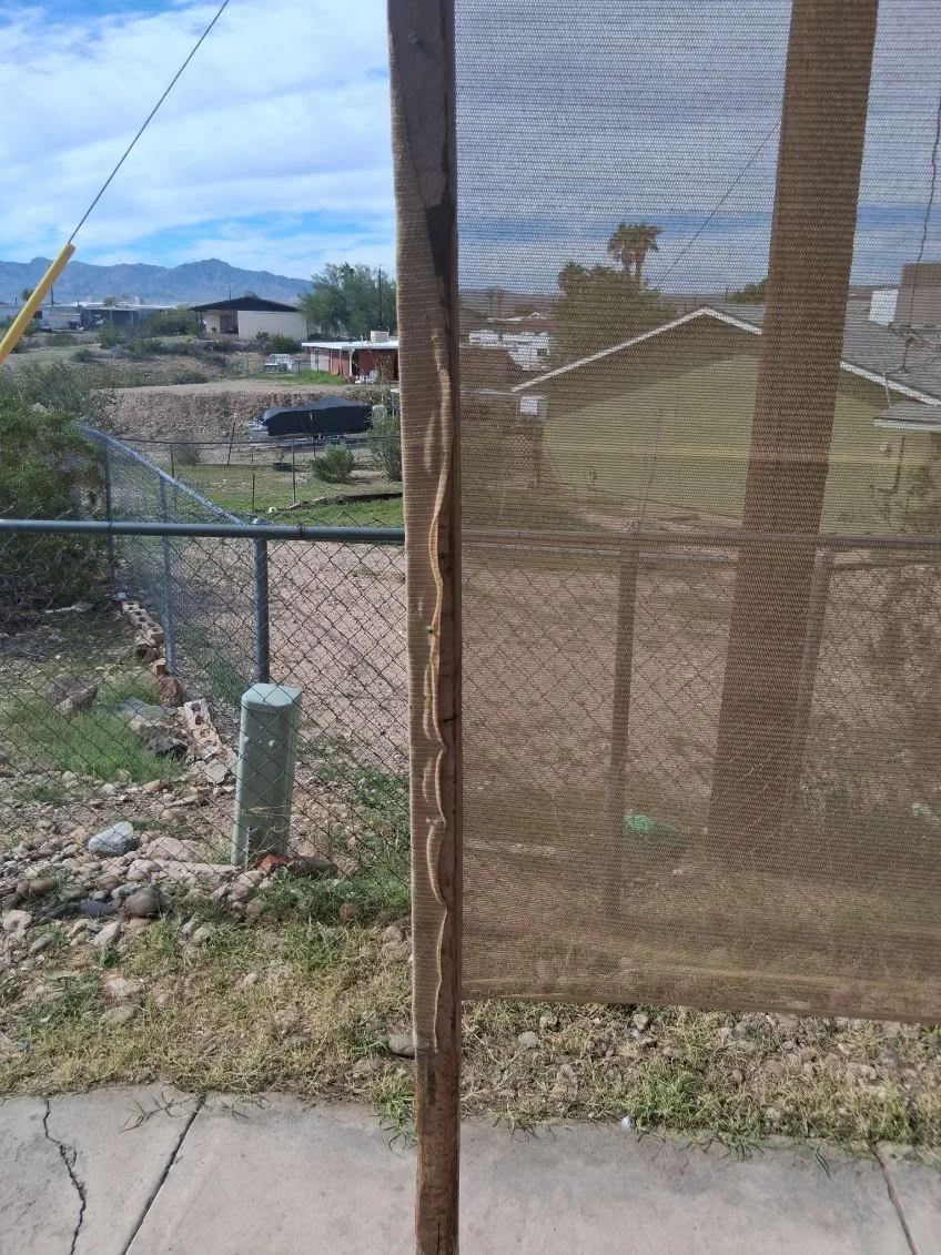 IMG_5465 — 2147 Kingston Dr, Bullhead City, AZ 86442