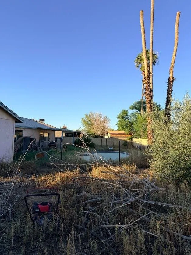 IMG_1608 — 8501 W Fairmount Ave, Phoenix, AZ 85037