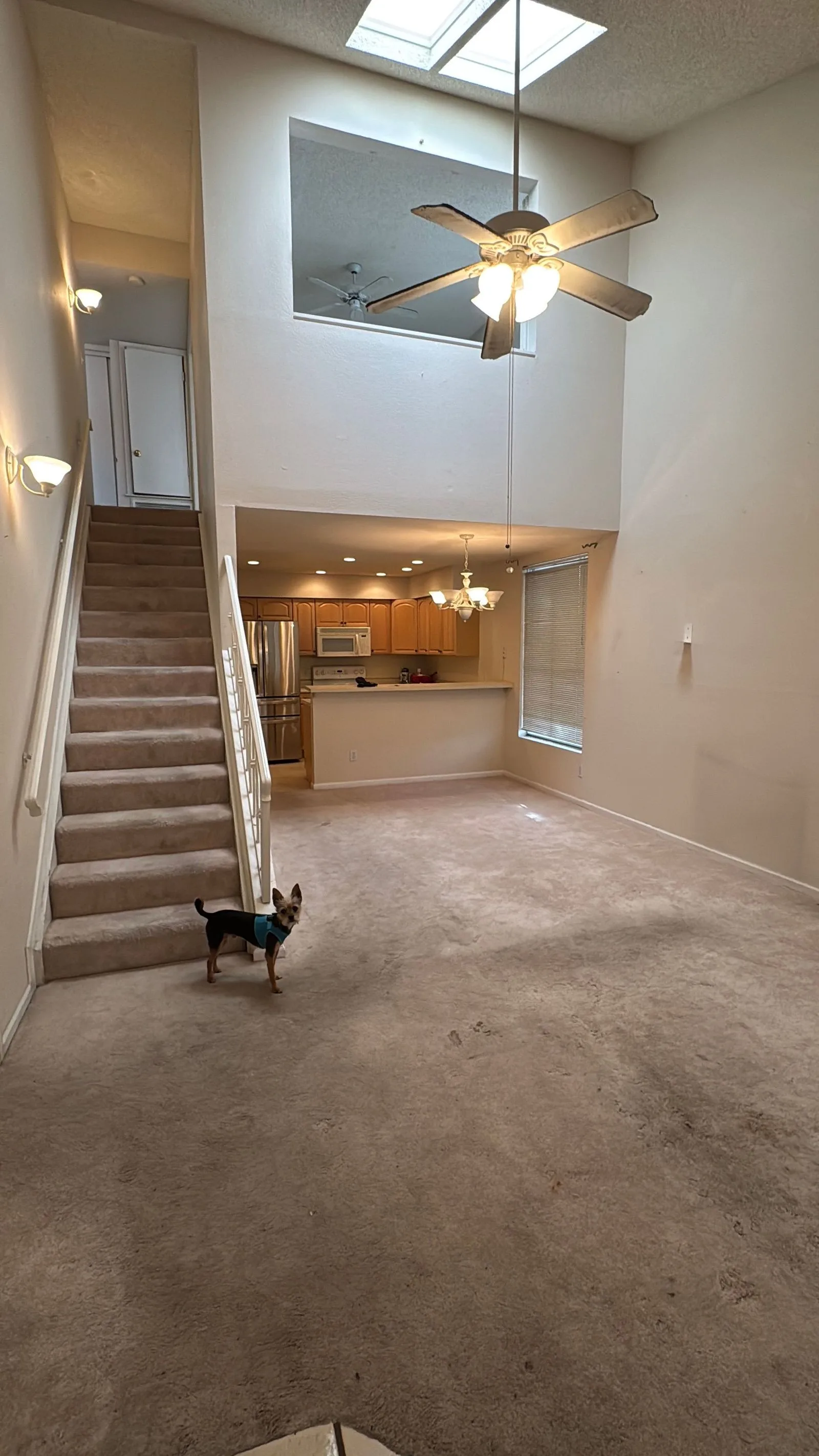 IMG_1954 — 1717 E Union Hills Dr, Unit 1029, Phoenix, AZ 85024