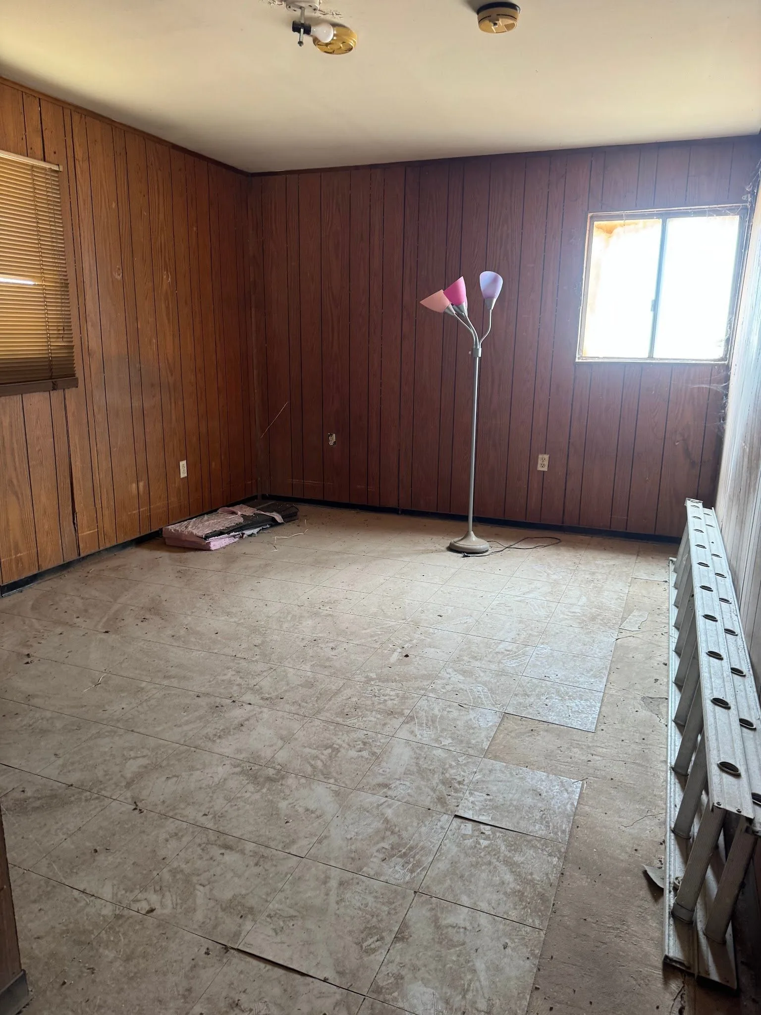 photo-21